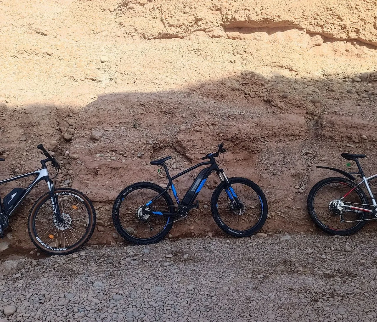 Avventure in bicicletta