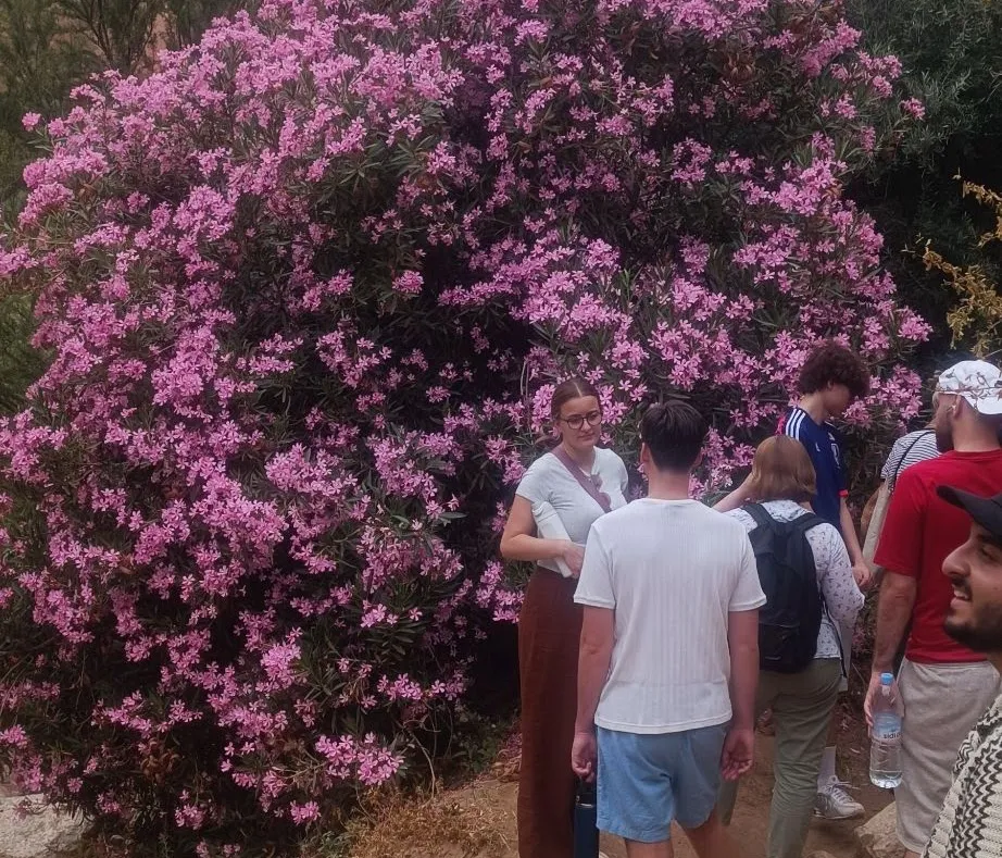 Esperienze nella Valle delle Rose