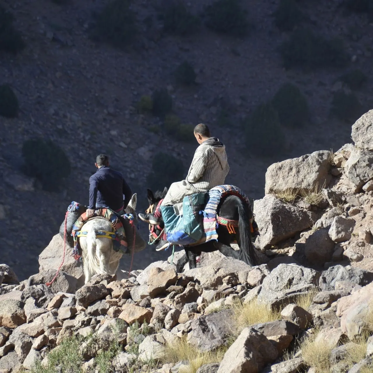 Trekking sul massiccio del Saghro